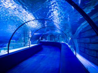 安塔利亚水族馆