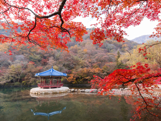 内藏山国立公园