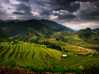 科迪勒拉山梯田
