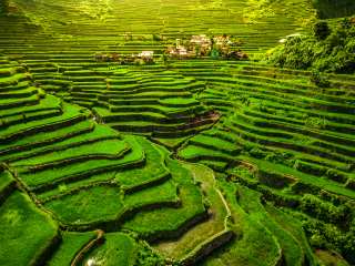 科迪勒拉山梯田