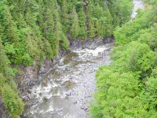 科蒂库克峡谷公园