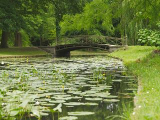 什未林宫殿花园