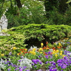 Flowers in Paris's Parc Monceau
