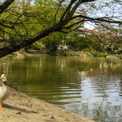 Parc Montsouris, Paris, France
