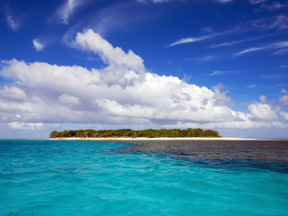 马斯格雷夫夫人岛