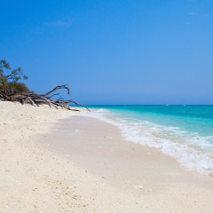 Crystal clear water at Lady Musgrave island in the Great Barrier Reef, Australia