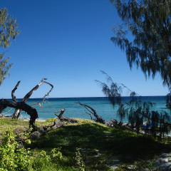 A view of Lady Musgrave island.