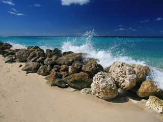 巴巴多斯卡伦海滩