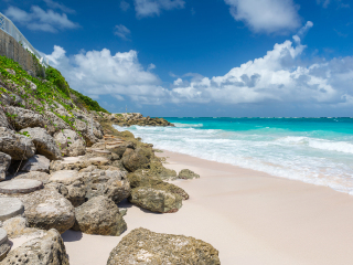 巴巴多斯卡伦海滩