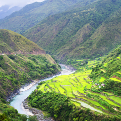 Rice terrace in Cordillera mountains, Luzon, Philippines