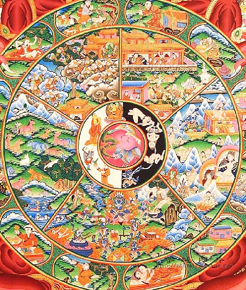 菩提花开莲花坳塔尔寺且听我说二