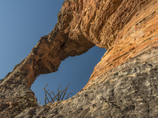 卡皮兰诺鲑鱼孵化场