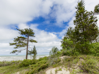 大海滩省级公园
