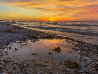 大海滩省级公园