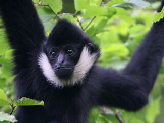 上海野生动物园
