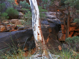 穆塔闻特基国家公园