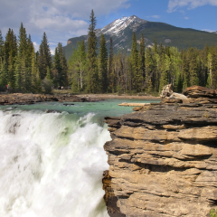 Falls in the rugged mountain river in the Canadian Rockies