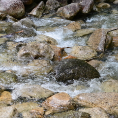 River by the shannon falls in Vancouver