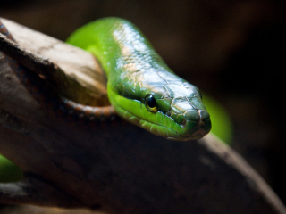 兰卡威水底世界