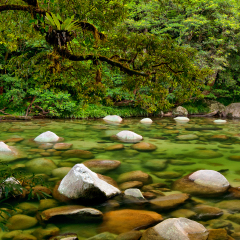Mossman River, Daintree National Park, Queensland, Australia