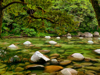 丹特里探索中心