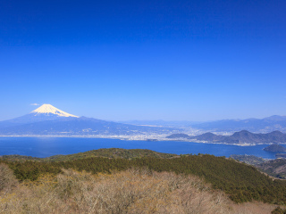达磨山