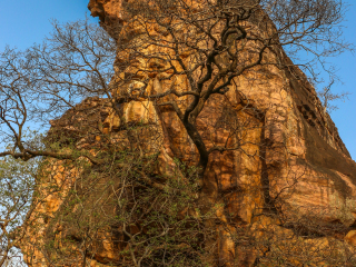 比莫贝卡特石窟