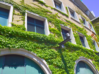 阪神甲子园球场