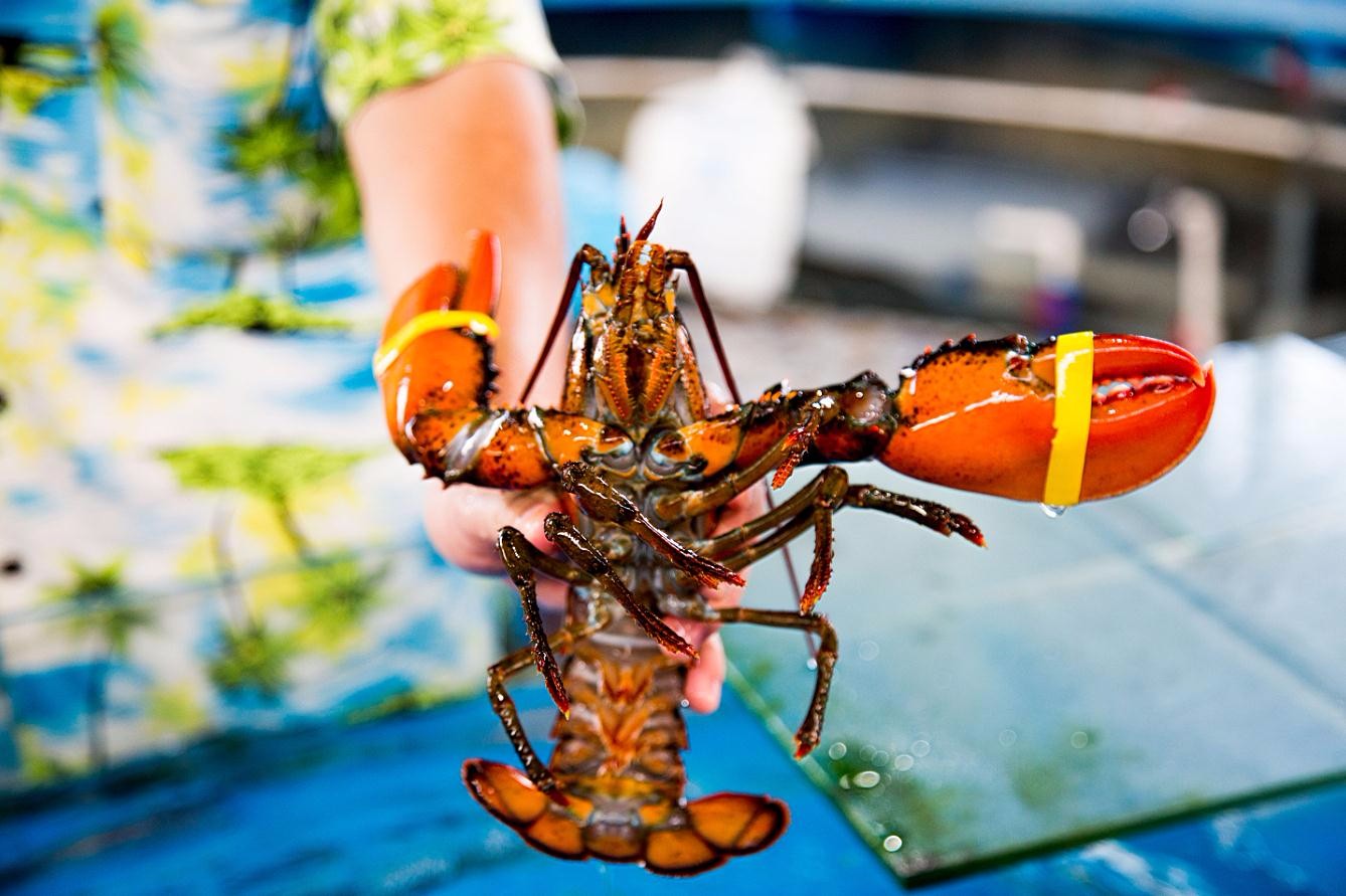 2017年超治愈之旅,三亚