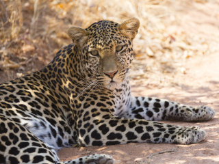 鲁阿哈国家公园