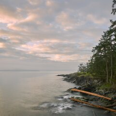           Salt Spring Island Shore, BC. The early morning, misty view from Ruckle Provincial Park on Saltspring Island. British Columbia, Canada.                     