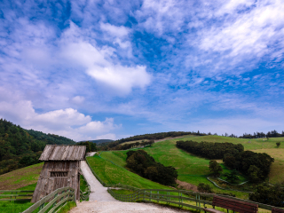 大关岭羊群牧场