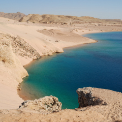 Ras Mohammed National Park. Egypt.