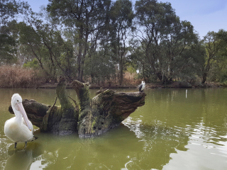克莱兰德野生动物园 