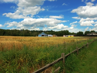 埃德蒙顿古堡公园
