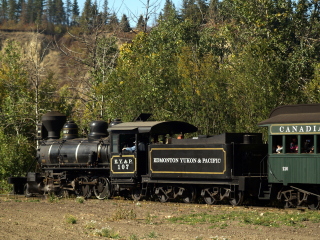 埃德蒙顿古堡公园