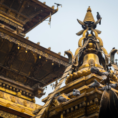 The golden temple in Patan, Lalitpur city, Nepal.