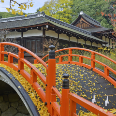 Shimogamo-jinja Shrine (Kamomioya - jinja), Kyoto, Japan