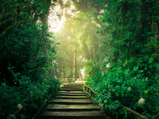 因他农山国家公园