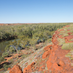 Aerial view over outback river in Millstream Chichester National Park in Western Australia, with rocks, trees, summer sunny blue sky, copy space.