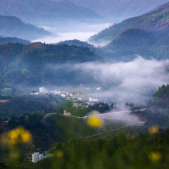 Morning fog in Poshan County, Anhui Province