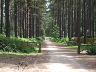 舍伍德森林乡村公园