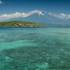 Coral Reef, Menjangan Island. Menjangan Island is a small island, located 5 miles to the northwest of Bali island, is known for it's healthy colorful reef and perfect snorkeling and SCUBA diving.