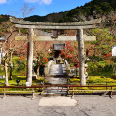 Stone gate in Eikando Zenrinji heritage temple at Kyoto, Japan