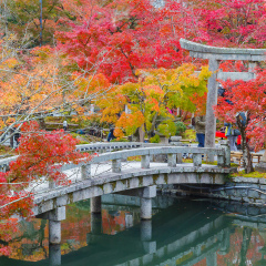 Eikando Zenrinji Temple in Kyoto, Japan

