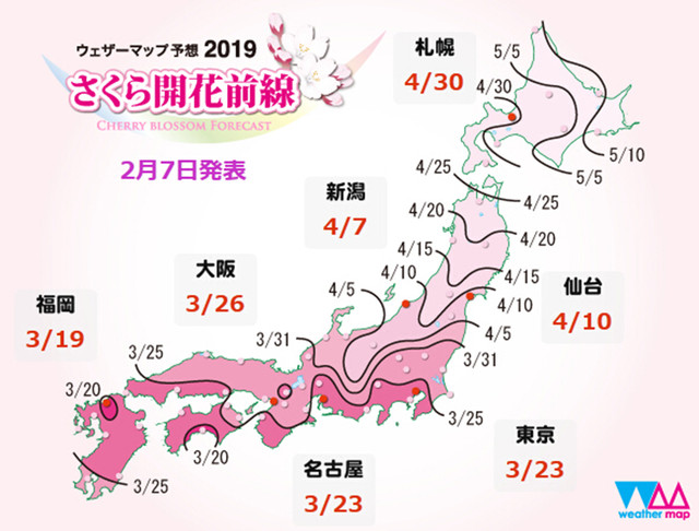 你想要的日本樱花季出游攻略 看这一篇就够了 订购就送药妆礼包 日本 攻略游记 途牛