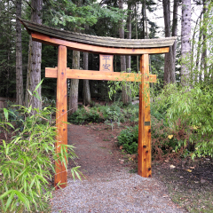 Tori at Japanese Gardens, Mayne Island