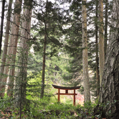 Japanese Gardens, Mayne Island