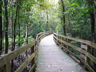 新加坡白沙公园