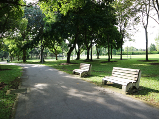 新加坡白沙公园